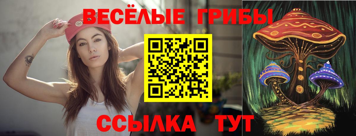 Подольск  Галлюциногенные грибы мицелий  Вход с VPN 